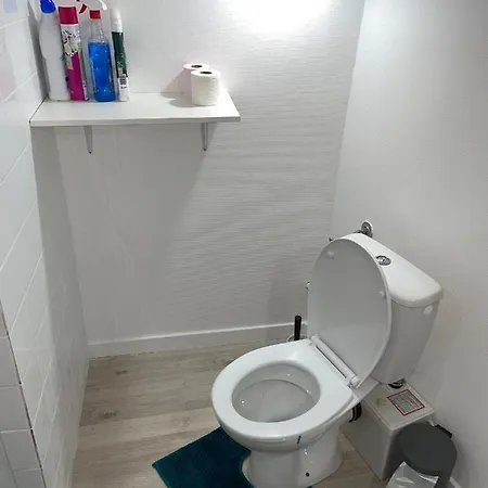 Renove 30m2 A 5 Min De La Gare * Бордо